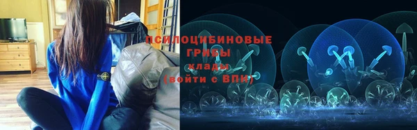 тгк Надым