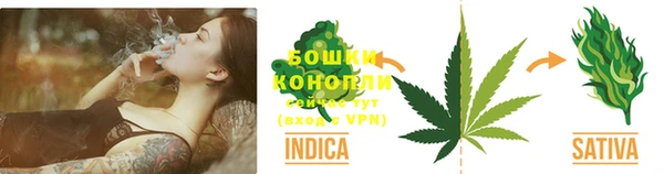 тгк Надым