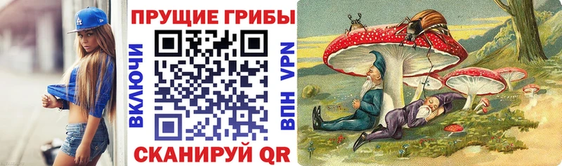 Галлюциногенные грибы прущие грибы  Купить  Новосиль 